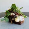Smørrebrød med hønsesalat, ristede svampe, tørsaltet bacon, æbler og krydderurter